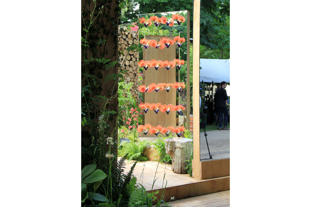 protea-miroir-jardin