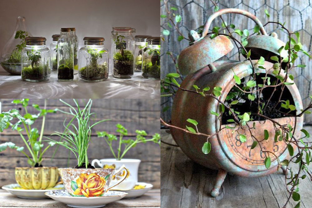 objets + plantes -1-lili-garden