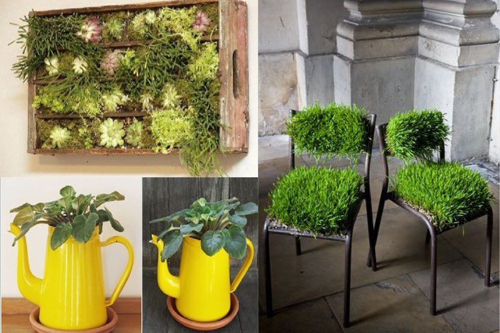 objets + plantes -2-lili-garden