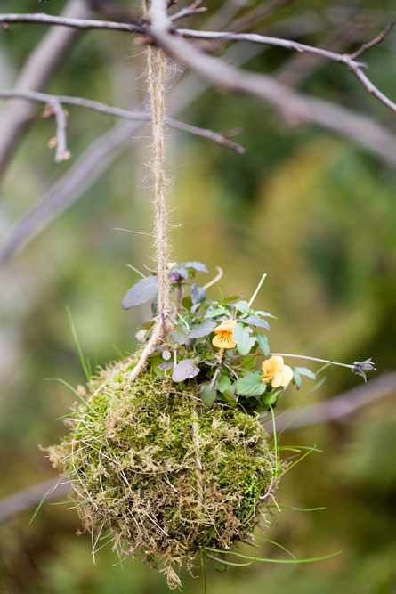 kokedama-liligarden