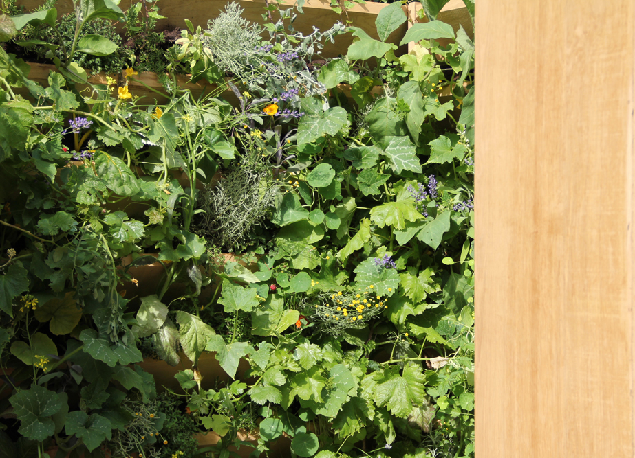 potager-vertical-liligarden