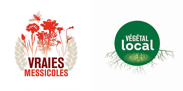 logo messocoles et végétal local