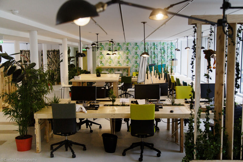 5-bureau-jungle-LiliGarden