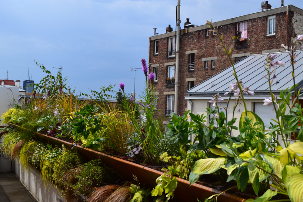 LILIGARDEN-MUR-VEGETAL-FACILE