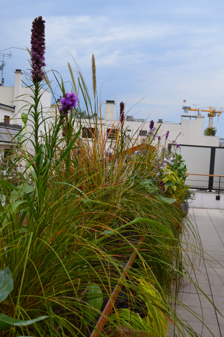 LILIGARDEN-MUR-VEGETAL-FLEURI