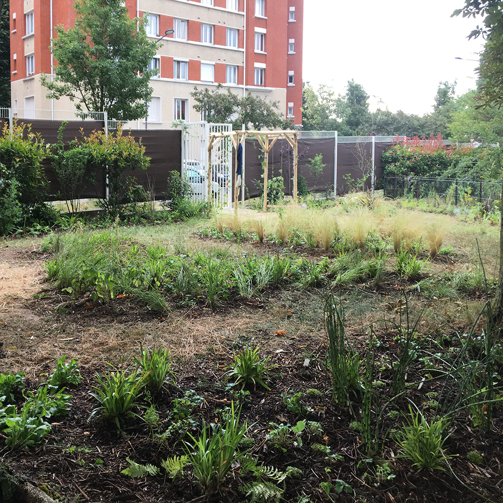 jardin de plantes tinctoriales whole (2.3)