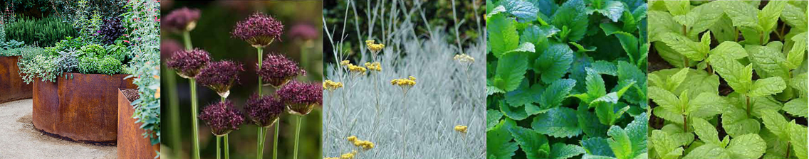 jardin-nourricier-1-liligarden