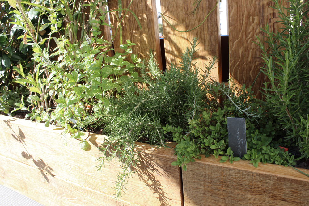 aromatiques-liligarden