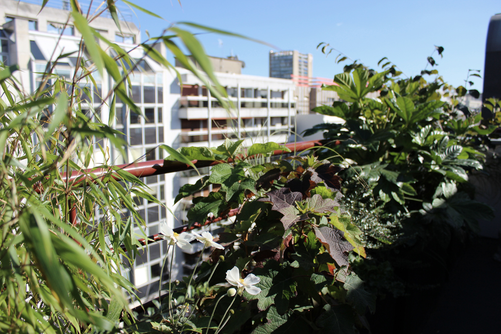 balcon-jardin-liligarden