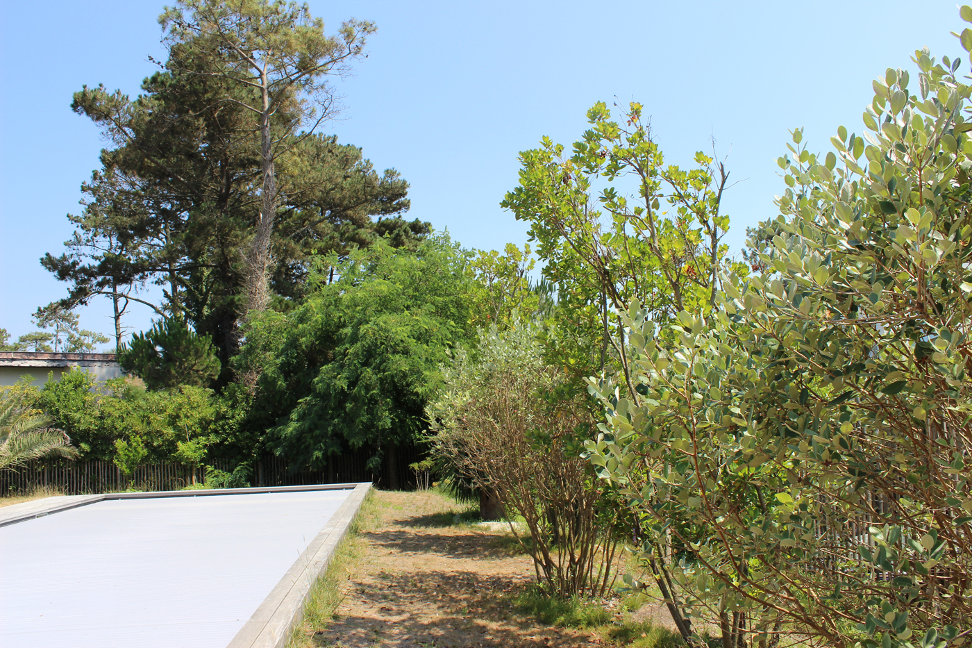 jardin biodiversité anglet bord de mer dune (19)