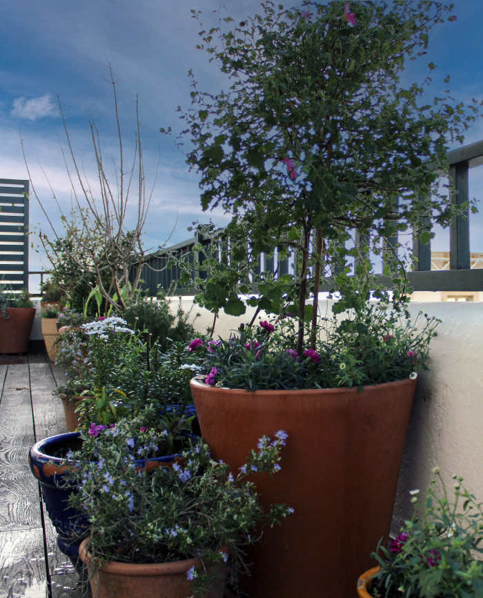 terrasse bord de mer biarrirritz (1)