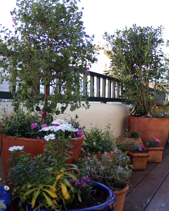 terrasse bord de mer biarrirritz (2)