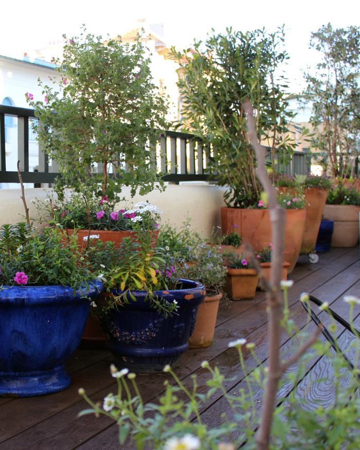 terrasse bord de mer biarrirritz (3)